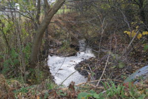 Source of Chartiers Creek