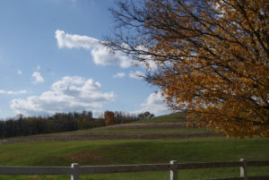Rural Washington County near Chartiers Creek